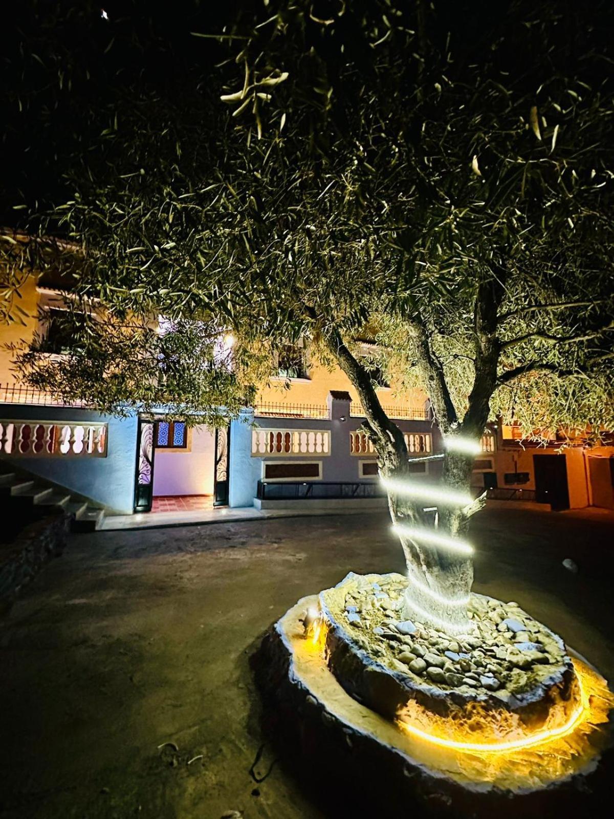 Dar Blanca Bed & Breakfast Şafşavan Dış mekan fotoğraf